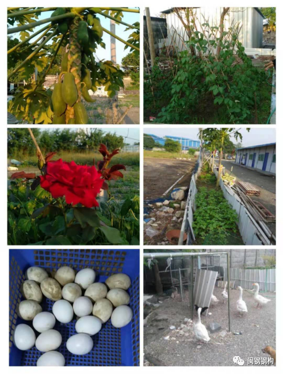 1609913906387449.png 2.png